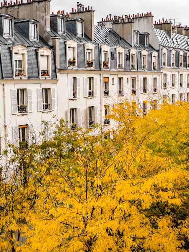 immeubles parisiens avec cheminées